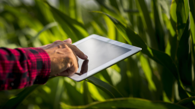 Extensionista como agentes de innovación Agropecuario Integral